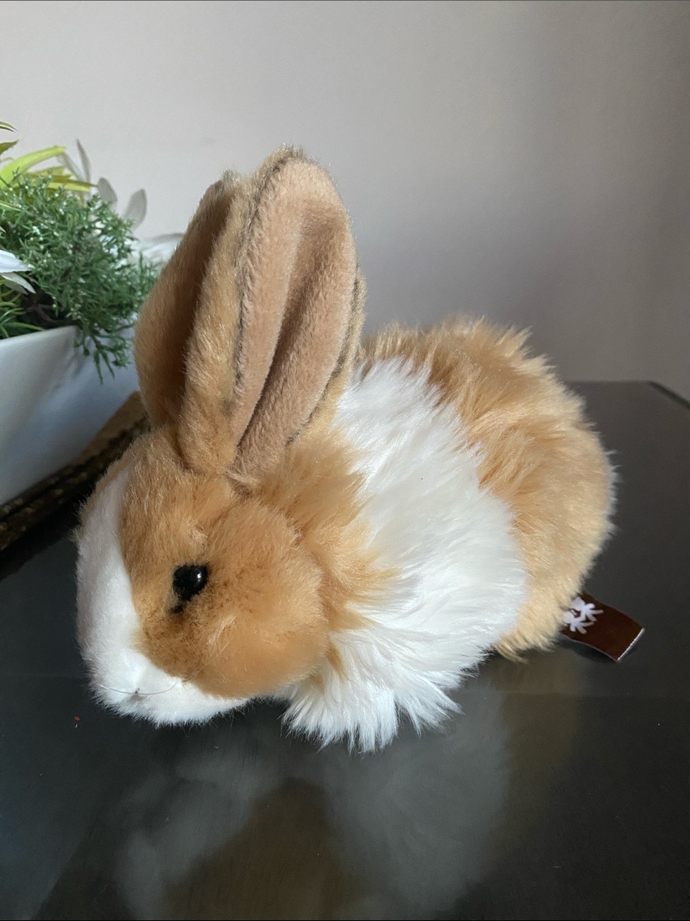 Realistic looking Anna Club Bunny plush
